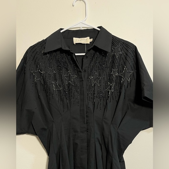 The Tobie Button-Front Pleated Shirt Dress: Embellished Edition - Picture 6 of 8